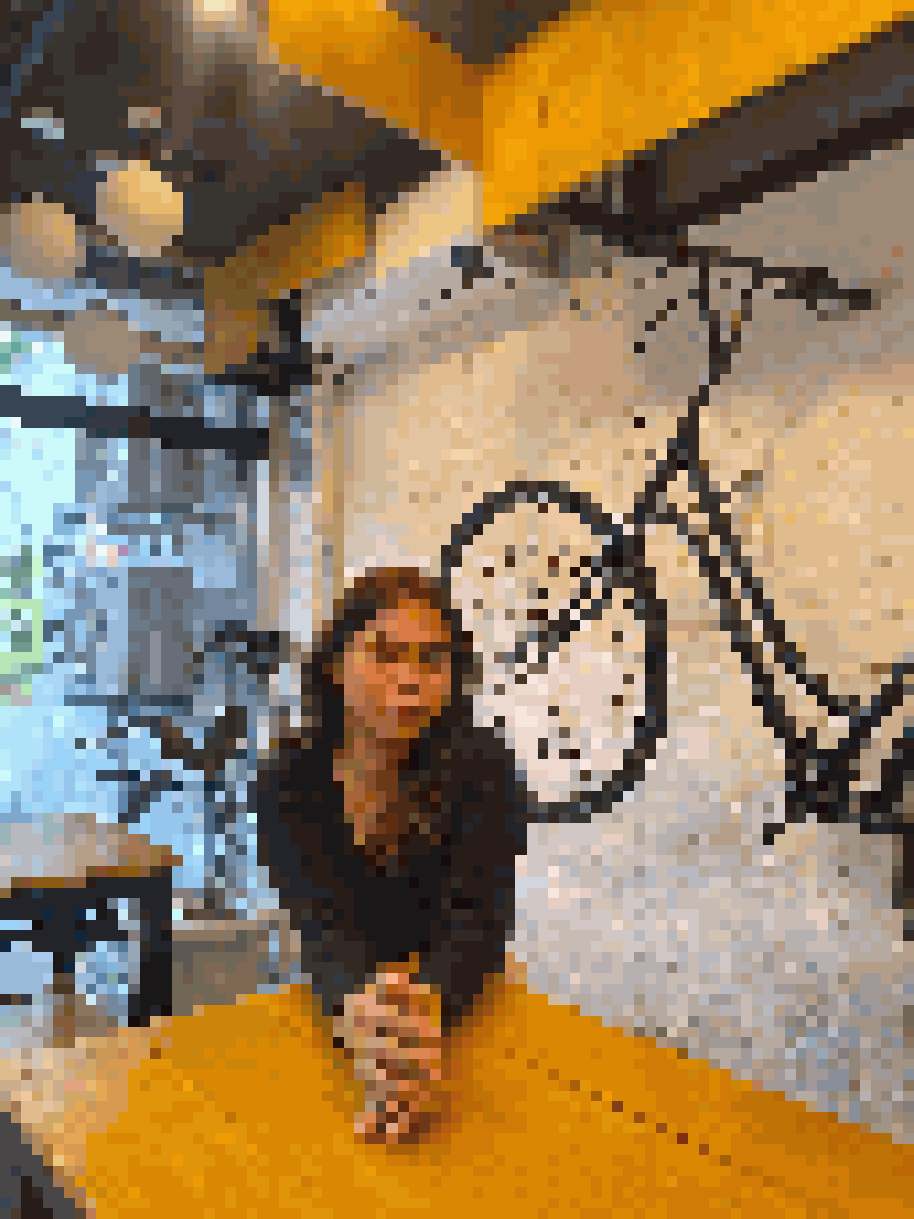 Ladyboy Dating