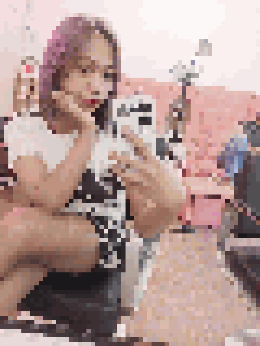Ladyboy Dating