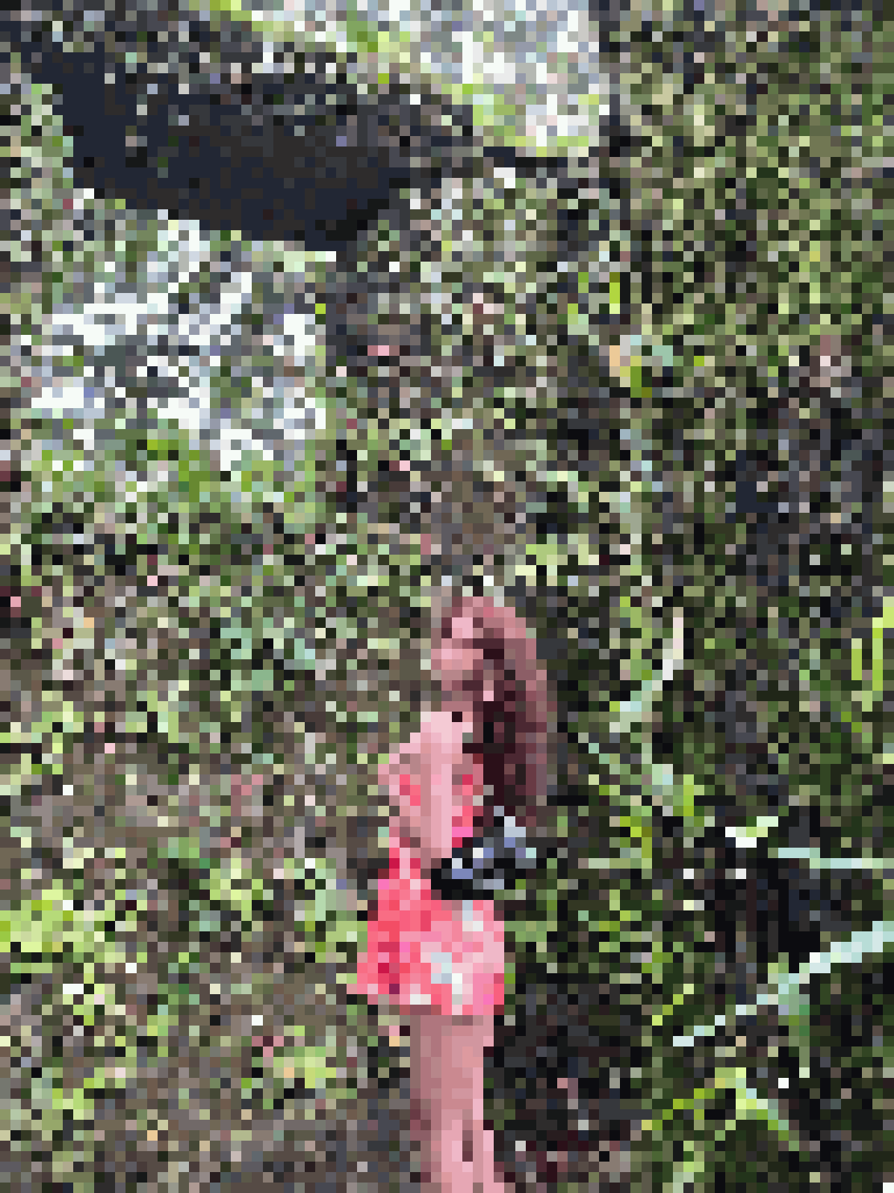 Ladyboy Dating