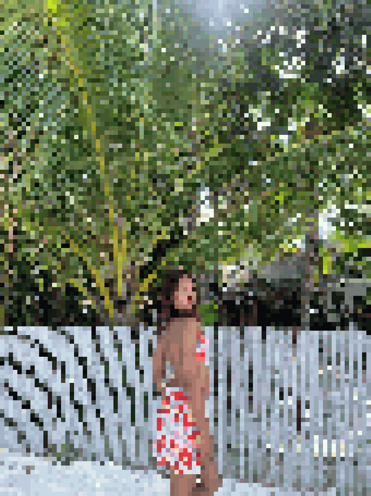 Ladyboy Dating