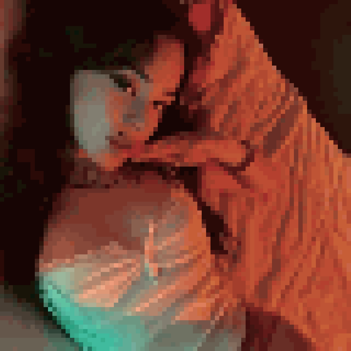 Ladyboy Dating