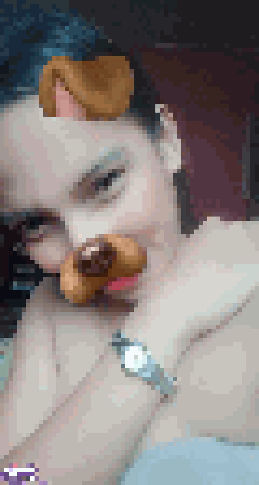 Ladyboy Dating