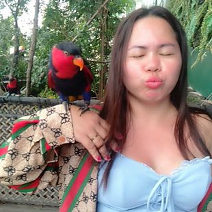 A Beautiful Filipina Girl