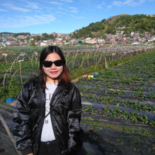 A Beautiful Filipina Girl