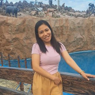 A Beautiful Filipina Girl